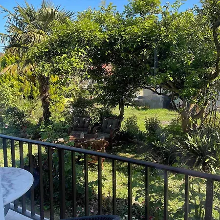 Apartament Captain's *